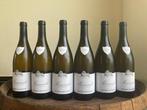 2022 Domaine Vaudoisey-Creusefond - Meursault - 6 Flessen, Nieuw