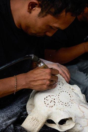 PAS DE PRIX MINIMAL - Vraie tête de bœuf sculptée noire -