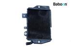 Radiateur gauche Triumph Tiger 900 Rally Pro 2021, Motoren, Verzenden, Nieuw