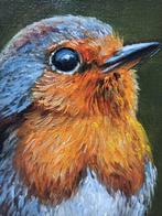 Tomasz Bednarski (1965) - Robin