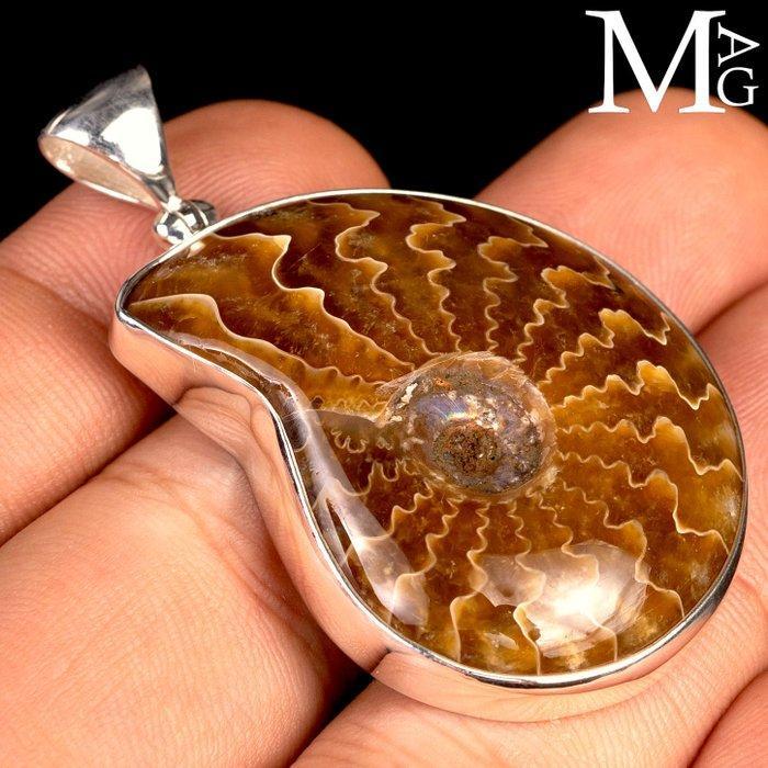 Jurassic Bijoux Pendentif en argent sterling avec ammonite, Antiquités & Art, Curiosités & Brocante
