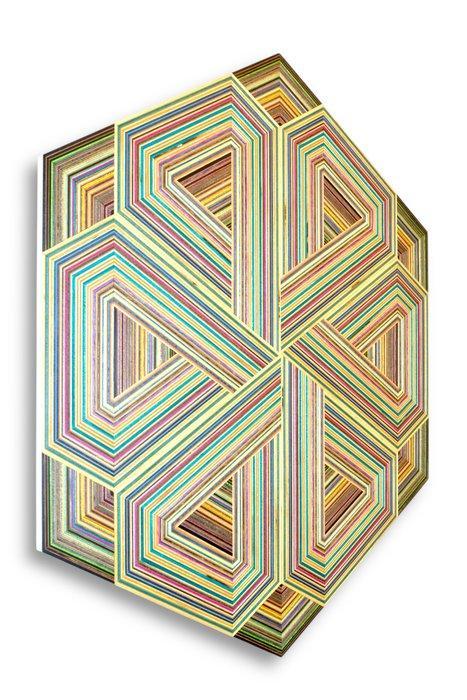 Danilo Nedi - Focused Skateboard Woodworks - Interpretzel, Antiek en Kunst, Kunst | Designobjecten