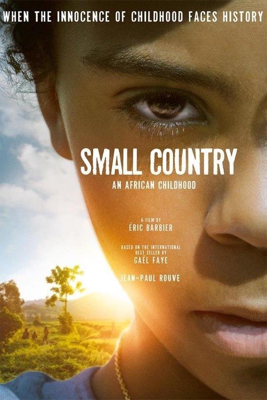 Small Country op DVD, CD & DVD, DVD | Drame, Envoi