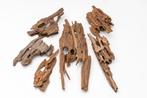 Dragon wood, Dieren en Toebehoren, Vissen | Aquaria en Toebehoren, Verzenden, Nieuw