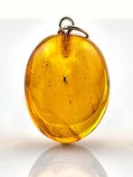 Barnsteen - Timeless Baltic Amber Jewelry - MOSQUITO Fossil