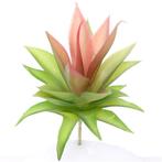 19cm. ARTIFICIAL SUCCULENT GREEN/RED Succulent, Nieuw