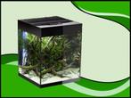 Aquael Glossy cube 50 zwart aquarium (Glossy aquarium serie), Dieren en Toebehoren, Verzenden, Nieuw, Filter of Co2