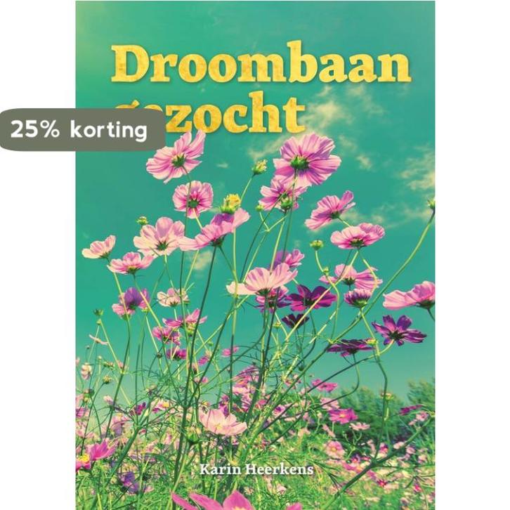 Droombaan gezocht 9789464911510 Karin Heerkens, Boeken, Hobby en Vrije tijd, Zo goed als nieuw, Verzenden