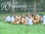 Wyandottes 9789066743991 H. Schellekens, Verzenden, H. Schellekens