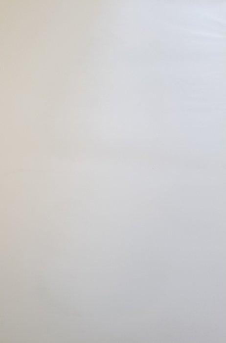 Daniel Spoerri (1930) - o.T. (Skull), 1993, Antiek en Kunst, Antiek | Overige Antiek