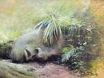 Willie Berkers (1950-2020) - ‘Mud Maid’ in de ‘Lost Gardens