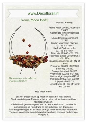 Frame Moon Herfst Stel zelf je pakket samen beschikbaar voor biedingen