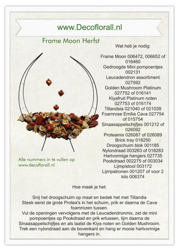 Frame Moon Herfst Stel zelf je pakket samen, Huis en Inrichting, Woonaccessoires | Kunstplanten en Kunstbloemen, Nieuw