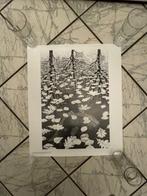 M.C. Escher (1898-1972) - Drie werelden, Antiek en Kunst