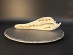 Nijlkrokodil Schedel - Crocodylus niloticus - 6.5 cm - 10.5, Verzamelen, Nieuw