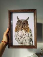 Vlinder Taxidermie volledige montage - Owl Ringlet - 32 cm -, Nieuw