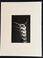 Giorgio Lotti - “ Ballet “, Antiek en Kunst