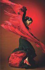 Lonely Planet Discover Spain dr 4 9781743214640, Verzenden, Lonely Planet