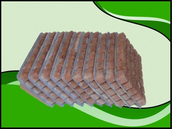 Krill Pacifica 10x100 gram diepvriesvoer (Visvoeding), Dieren en Toebehoren, Vissen | Aquaria en Toebehoren, Filter of Co2, Nieuw