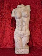 Beeld, Torso - 4kg - 58 cm - Gips, Antiek en Kunst