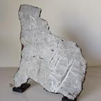 XL Museum ALETAI METEORITE (China, 1898) Widmanstätten