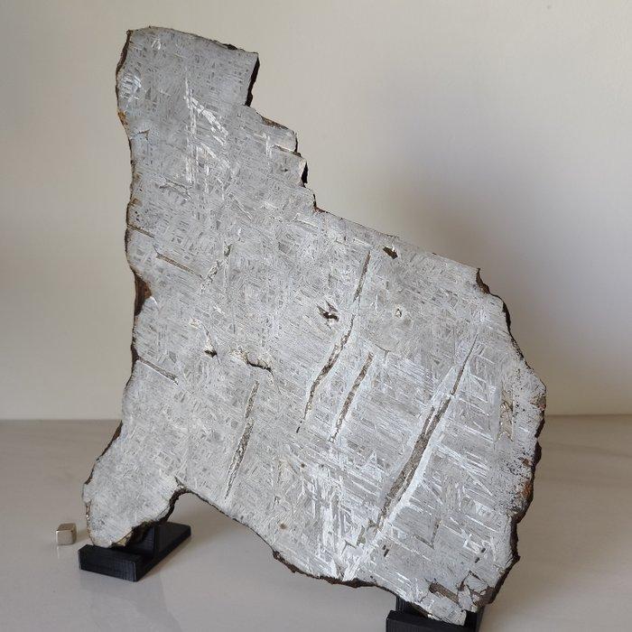 XL Museum ALETAI METEORITE (China, 1898) Widmanstätten, Collections, Minéraux & Fossiles