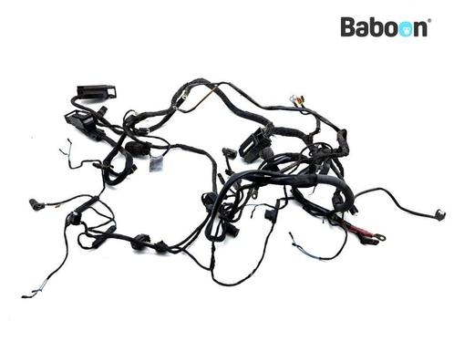 Kabelboom BMW F 650 GS 2006-2011 (F650GS K72), Motoren, Onderdelen | BMW, Gebruikt, Verzenden