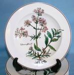 Villeroy & Boch - Botanica - Rimmed Soup - Bord (6) - Vitro, Antiek en Kunst