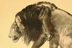 Paul Jouve (1878-1973) - Épreuve dArtiste Lion Guettant