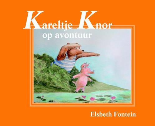 Kareltje Knor op avontuur 9789052474076 Elsbeth Fontein, Boeken, Kinderboeken | Jeugd | 13 jaar en ouder, Gelezen, Verzenden