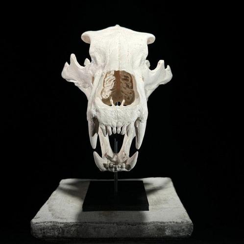 GEEN MINIMUMVERKOOPPRIJS - Een replica van een, Antiek en Kunst, Kunst | Designobjecten