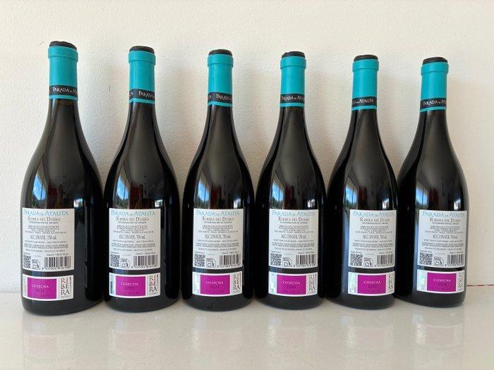 2021 Dominio de Atauta, Parada de Atauta - Ribera del Duero, Verzamelen, Wijnen