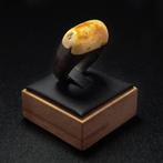 Ruwe witte amberring – fossielenpracht samengevoegd met, Antiek en Kunst