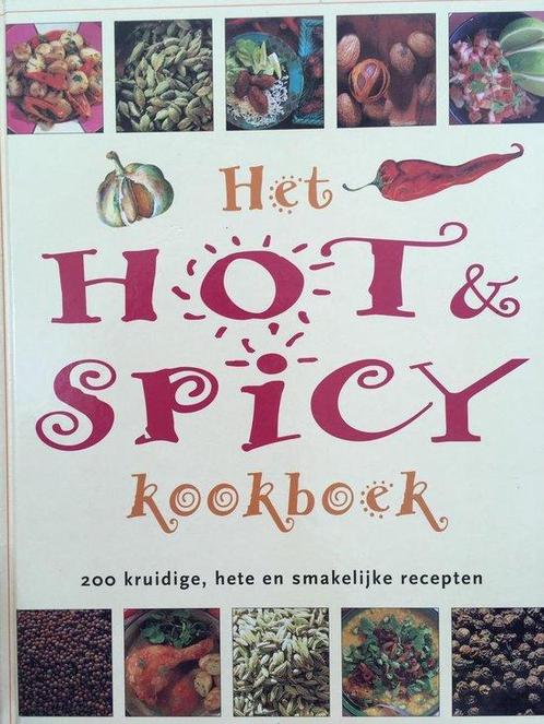 Hot & spicy kookboek, het 9789062489480, Livres, Livres de cuisine, Envoi