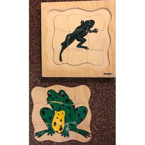 Groeipuzzel Kikker (zie omschrijving), Livres, Livres scolaires, Envoi