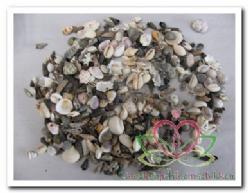 Schelpenmix mini 5 assort kleine vulschelpen 1 kilo, +/-, Hobby en Vrije tijd, Knutselen, Nieuw