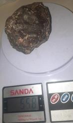 Météorite NWA 869 NWA 869 - météorite chondrite ordinaire, Collections