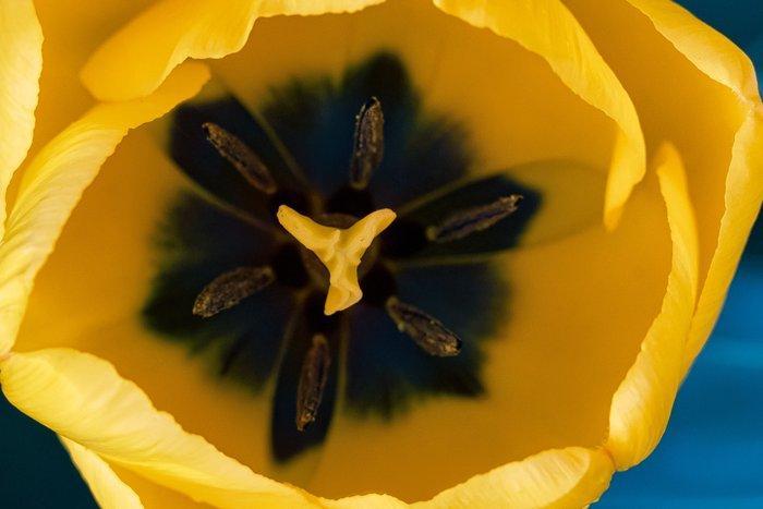 Inna Etuvgi - Free Flow, Antiek en Kunst, Kunst | Designobjecten