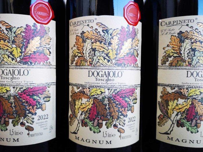 2022 Dogajolo - Toscane - 3 Magnums (1.5L), Verzamelen, Wijnen