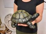 Beeld, Turtle Cast Iron - Handpainted - 0 cm - IJzer