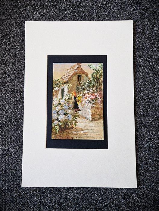 Max Wilhelm Römer (1878 -1960 ) - Madeira, Antiek en Kunst, Kunst | Schilderijen | Klassiek