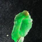 Smaragd Kristal- 18 g