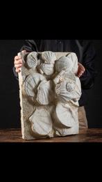 Fossiele plaatmatrix - 505 mm - 400 mm, Verzamelen