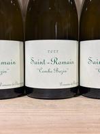 2022 Domaine de Chassorney Combe Bazin - Saint-Romain - 3, Nieuw