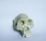 Lesmateriaal - Vintage Educatief Anatomisch Model -