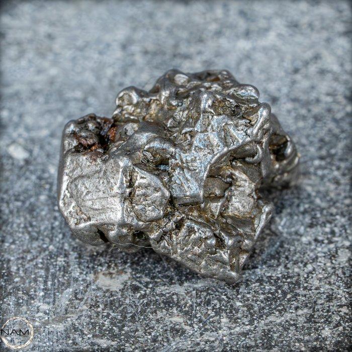 Natuurlijke meteoriet Campo Del Cielo Groot, Argentinië-, Verzamelen, Mineralen en Fossielen