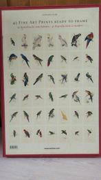 William Harvey and Edward Lear - The Parrots Die Papageien, Antiek en Kunst