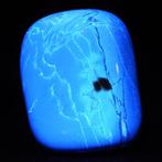 Indonesisch amberstuk Volledig gepolijst- 266 g