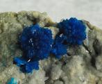 cavansite Kristallen op matrix - Hoogte: 67 mm - Breedte: 47, Verzamelen, Mineralen en Fossielen