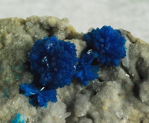 cavansite Kristallen op matrix - Hoogte: 67 mm - Breedte: 47, Verzamelen, Mineralen en Fossielen